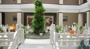 a room with white chairs and a large plant at Dali Dayu Hotel in Dali