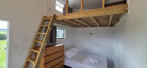 a small bedroom with a bunk bed and a ladder at Valley Views Near City & Coast in Tahere