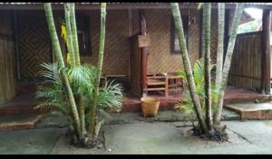 Κήπος έξω από το Sasak Bungalow Lombok