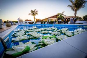 uma piscina com flores brancas na água em Villa Alisia em Zingarello