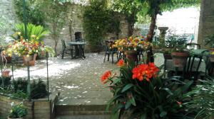 Zahrada ubytování Hotel Umbra