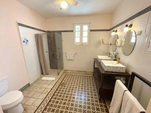 une salle de bain avec une douche, des toilettes et un lavabo dans l'établissement Hostal Colonial Dominicano, à Saint-Domingue