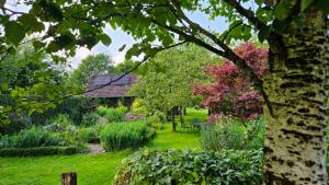 a garden with flowers and a house in the background at Hempen Fied Gästehaus - Apartment 3 in Bad Zwischenahn