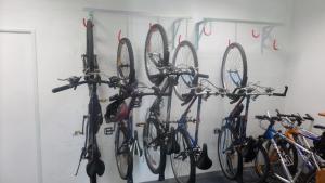 Jazda na bicykli v okolí ubytovania Apartments Radka