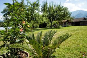 Paesaggio naturale nelle vicinanze della stanza in casa privata