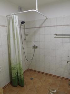 a shower with a shower curtain in a bathroom at Ferienwohnung Sowade in Nebra