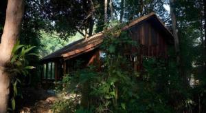 a small wooden cabin in the middle of trees at Forest Floor Lodge in Cat Tien