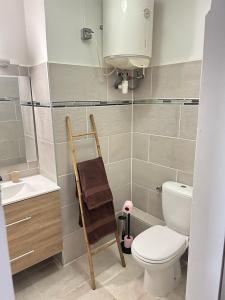 a bathroom with a toilet and a ladder in it at Kimia studio 2 pas de la plage au Gosier in Le Gosier