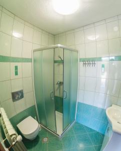 a bathroom with a shower and a toilet and a sink at Rooms and apartment Ambrožič in Vremski Britof