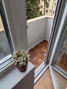 a potted plant sitting on a window sill next to a balcony at Serenity Lodge, next to NDK in Sofia