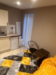 Kuchyň nebo kuchyňský kout v ubytování Large Studio Flat Harrow