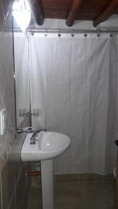 a bathroom with a sink and a shower curtain at Hotel La Faustina-Caviahue in Caviahue