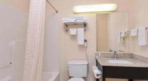 a bathroom with a toilet and a sink and a shower at Baymont by Wyndham Acworth in Acworth