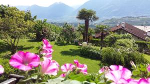 einen Garten mit rosa Blumen, Palmen und Bergen in der Unterkunft Hotel Garni Katnau in Schenna