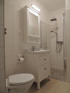 a bathroom with a toilet and a sink and a shower at Lindenhof in Grömitz