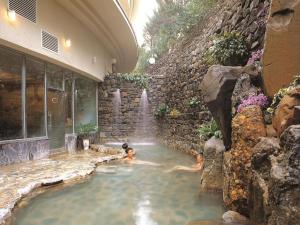 牙山市にあるOnyang Hot Spring Hotelの噴水のある建物内のスイミングプール