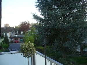 Ein Garten an der Unterkunft Ferienwohnung Rheinaue