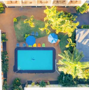 an overhead view of a swimming pool in a garden at Bposhtels Waikiki Retreat in Honolulu