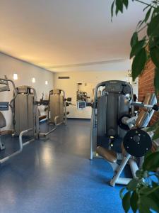 een sportschool met meerdere loopbanden in een ruimte bij Ferienwohnung Chill Zone in Sankt Englmar +14 foto's