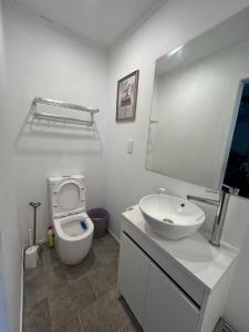 a bathroom with a sink and a toilet and a mirror at 13 Bedlington in Whangarei