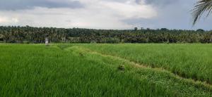 Photo de la galerie de l'établissement Villa Celagi, à Krambitan