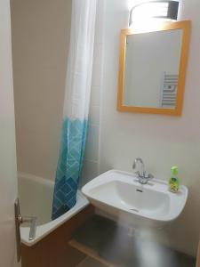 ein Badezimmer mit Waschbecken, Spiegel und Dusche in der Unterkunft Appt 4 prs Tour de La Biche depart skis aux pieds in Besse-et-Saint-Anastaise