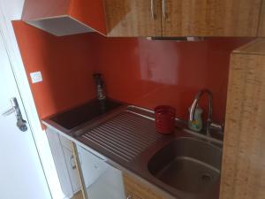 eine Küchentheke mit Spüle und Spüle in der Unterkunft Appt 4 prs Tour de La Biche depart skis aux pieds in Besse-et-Saint-Anastaise + 3 Fotos