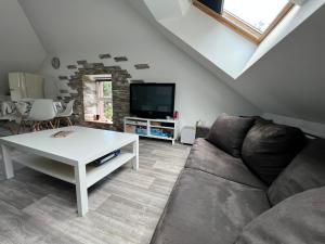a living room with a couch and a tv at Le petit Kichon in Gérardmer