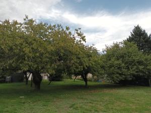 Châtillon-sur-LoireにあるMaison Châtillon sur Loire - Peace and quietの草原の木々
