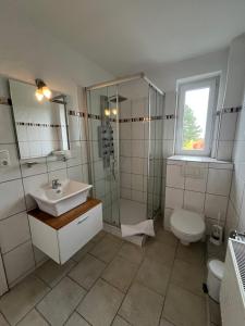 a bathroom with a sink and a shower and a toilet at Eifel Hotel Haus West in Kall