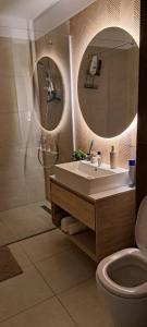 ブラショヴにあるJune's Urban Residenceの洗面台、トイレ、鏡のあるバスルーム +21枚の写真