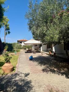 a brick walkway with a tree and a building at Lagomandra Nakis in Lagomandra
