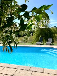 Πισίνα στο ή κοντά στο La Grange au Rêve avec piscine
