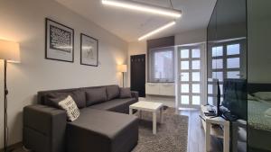 a living room with a couch and a tv at Apartman 47A in Valjevo