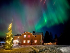a house with a christmas tree and the northern lights at Folkja gård, gästhus i Höga kusten in Noraström +17 photos
