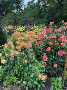 un giardino di fiori colorati di Ferienwohnung EFS a Lich