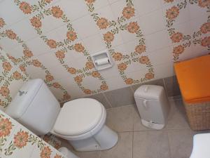 a bathroom with a white toilet and a trash can at Delphi Sunset Apartment in Delfoi +20 photos