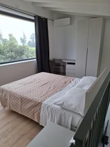 a bedroom with a bed and a large window at Agriturismo Corte Gaia in Castiglione delle Stiviere +46 photos