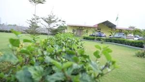 O grădină în afara Nap Of Joy +6 fotografii