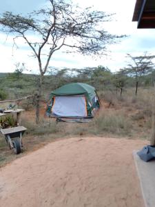 a tent and a picnic table in a field at Ndege Mingi Bush Camp - Laikipia in Nanyuki +12 photos