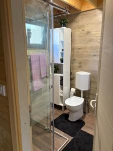 a bathroom with a toilet and a glass shower at Beli Bor in Vračar (historical)