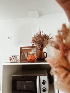 a shelf above a microwave with pumpkins and a picture at Le gîte de Marceau 