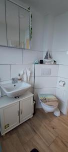 a bathroom with a sink and a toilet and a mirror at Ferienwohnung Milans Eck in Schwienau