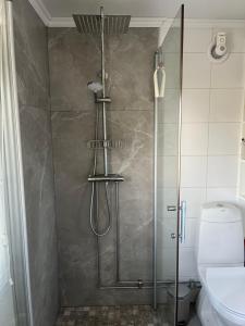 una ducha en un baño con puerta de cristal en Solhem Terrassen, en Arvika 43 fotos más