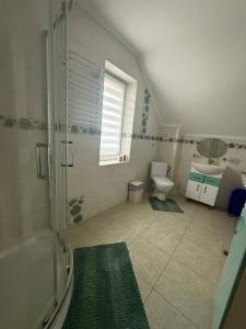 un bagno con doccia, WC e lavandino di Гостьовий будинок у Східниці a Skhidnytsia Altre 8 foto