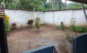a dirt courtyard with plants and a wall at Picinguaba Beleza Intocada in Ubatuba