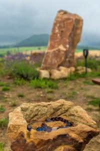 Afbeelding uit fotogalerij van Moon Hill's Lord in Jeżów Sudecki