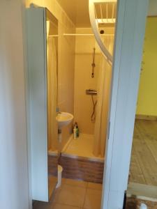 a bathroom with a shower and a sink at chateau d'eau logement insolite in Tournemire