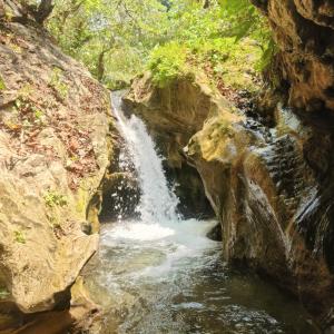 Φυσικό τοπίο κοντά σε αυτό το κάμπινγκ +19 φωτογραφίες