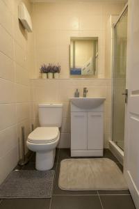 Et badeværelse på 2 Bedroom Apt Pearse Street, Walking Distance to Dublin City Centre